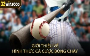Giới thiệu về hình thức cá cược bóng chày